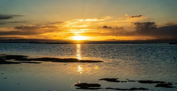 一些常用命令收集